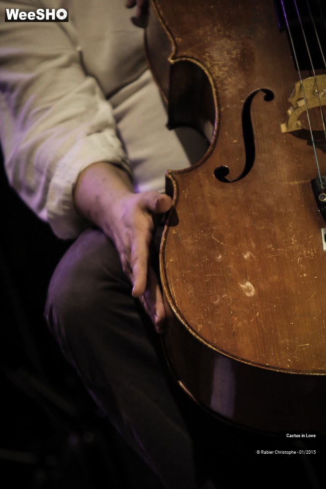 31/51 photos du spectacle Cactus in Love