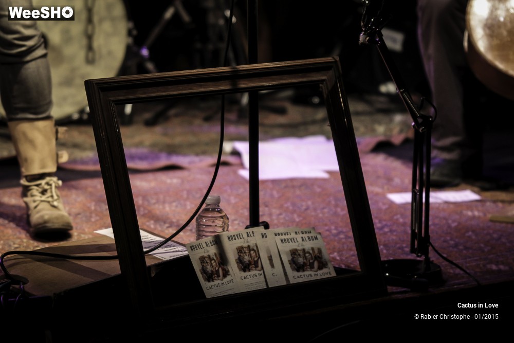 34/51 photos du spectacle Cactus in Love