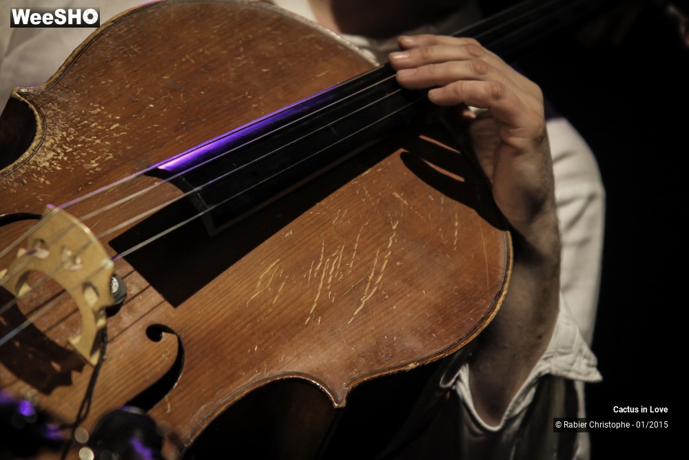 40/51 photos du spectacle Cactus in Love