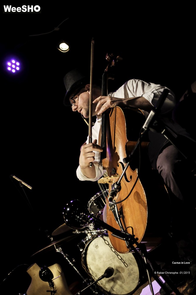 47/51 photos du spectacle Cactus in Love