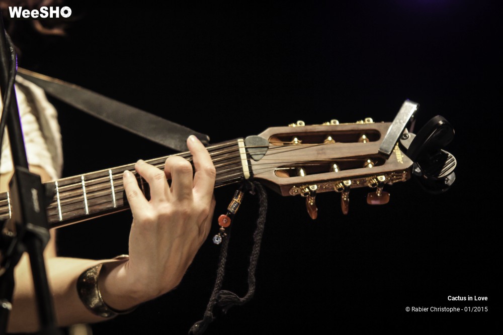 49/51 photos du spectacle Cactus in Love