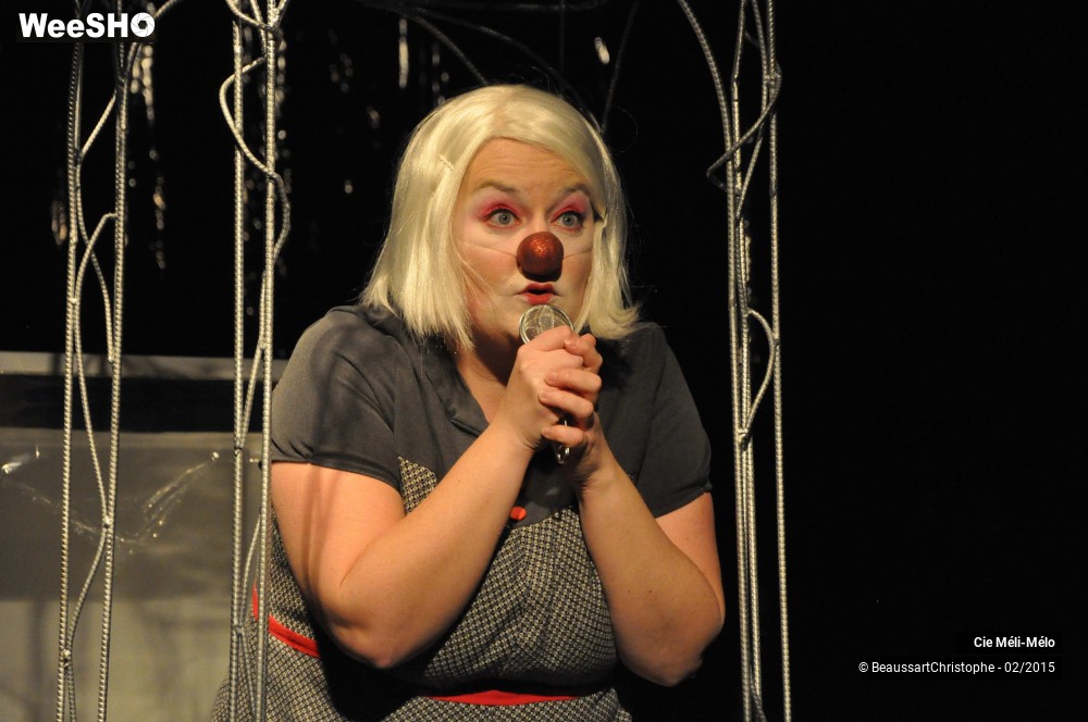 15/36 photos du spectacle Face de cuillère