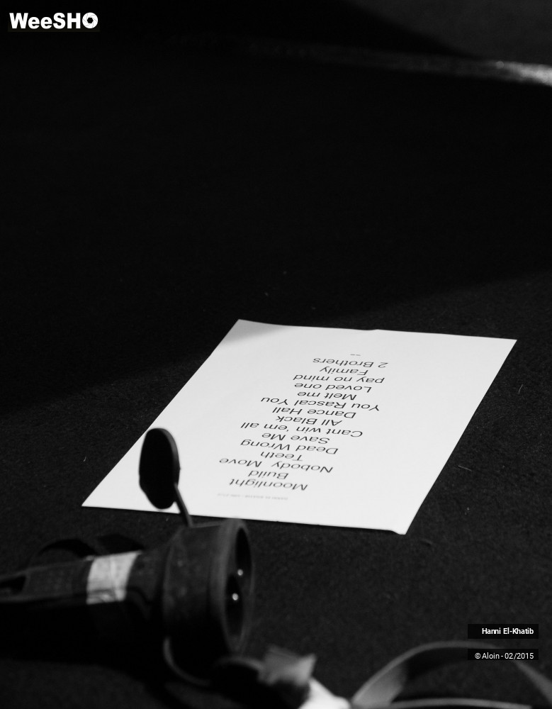 10/15 photos du spectacle Hanni el khatib