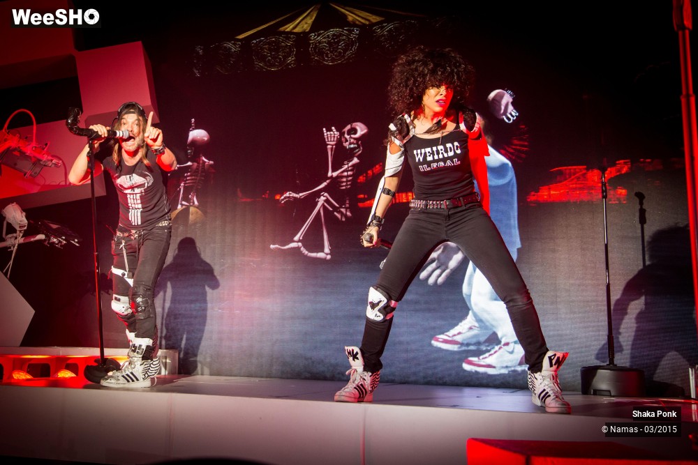 2/46 photos du spectacle Shaka Ponk