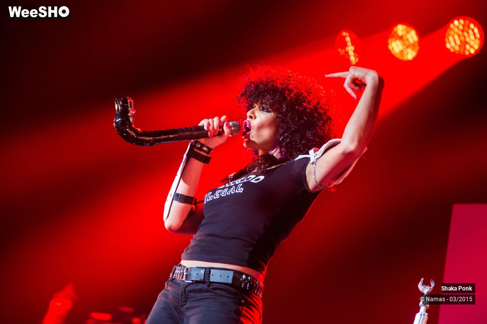 13/46 photos du spectacle Shaka Ponk