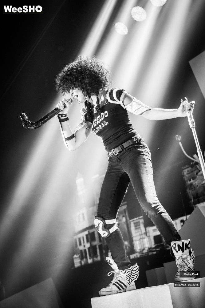 16/46 photos du spectacle Shaka Ponk