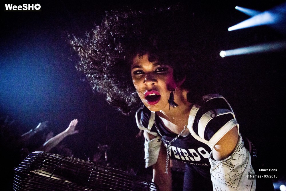 17/46 photos du spectacle Shaka Ponk