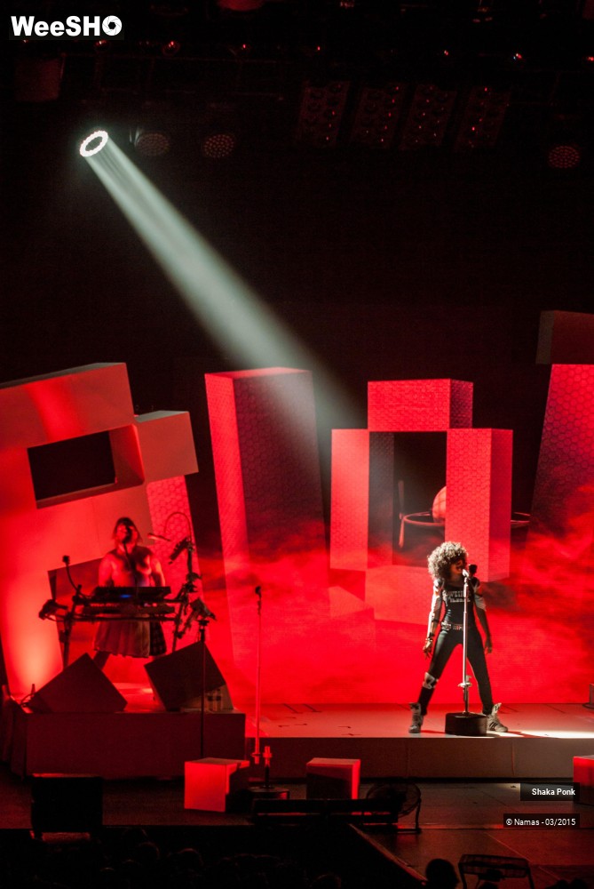 18/46 photos du spectacle Shaka Ponk