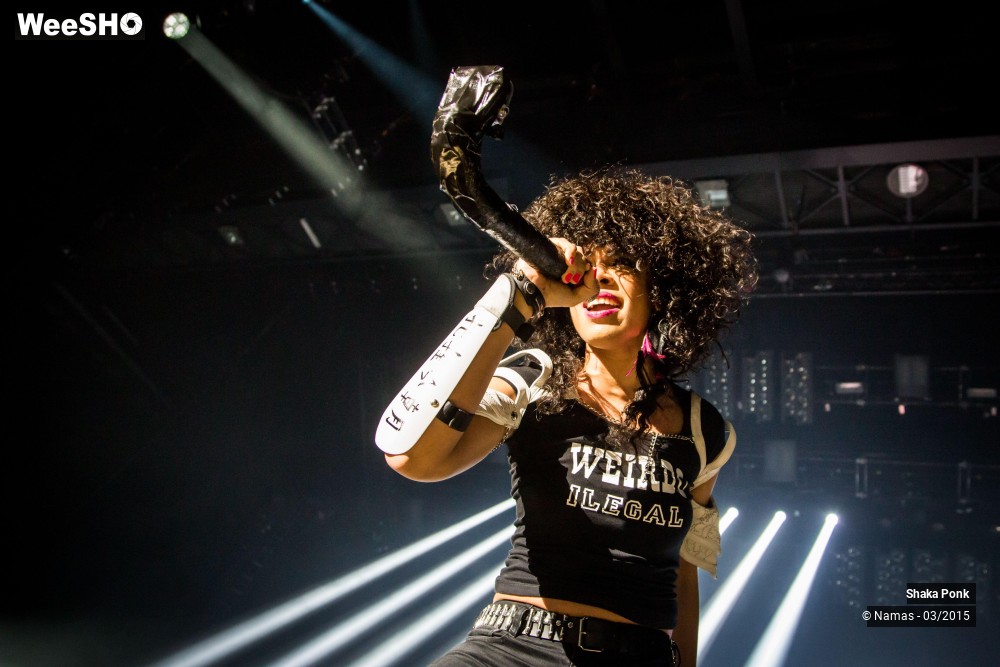 20/46 photos du spectacle Shaka Ponk