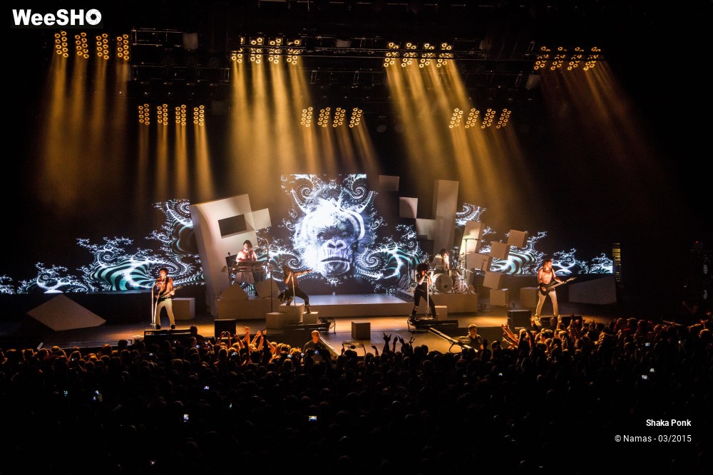 23/46 photos du spectacle Shaka Ponk