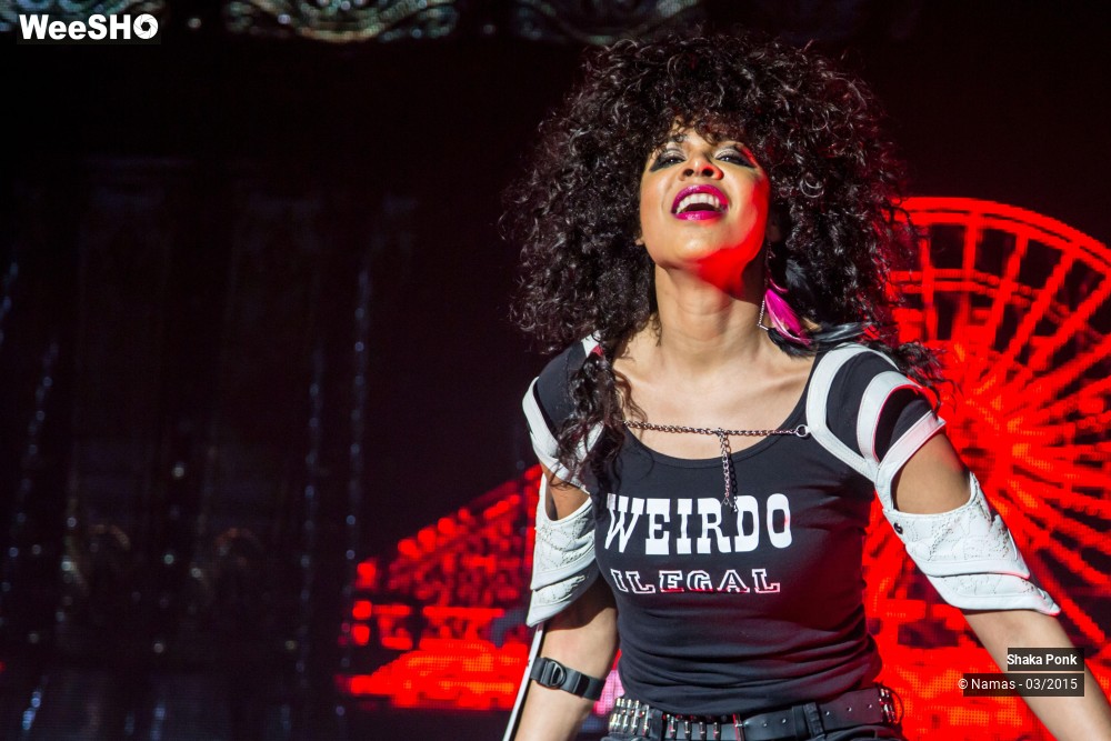 28/46 photos du spectacle Shaka Ponk