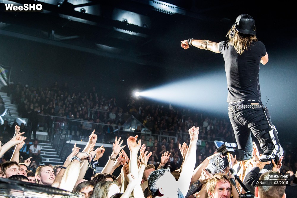 29/46 photos du spectacle Shaka Ponk