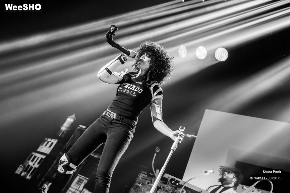 30/46 photos du spectacle Shaka Ponk