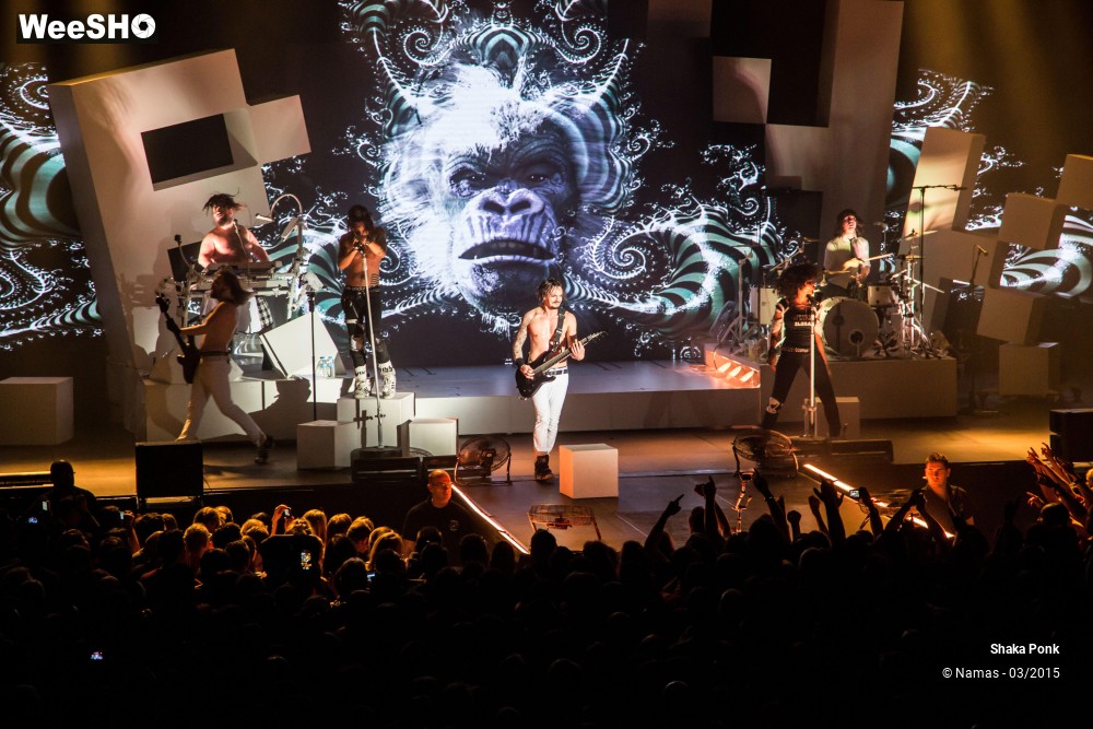 32/46 photos du spectacle Shaka Ponk