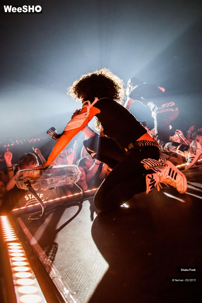 35/46 photos du spectacle Shaka Ponk