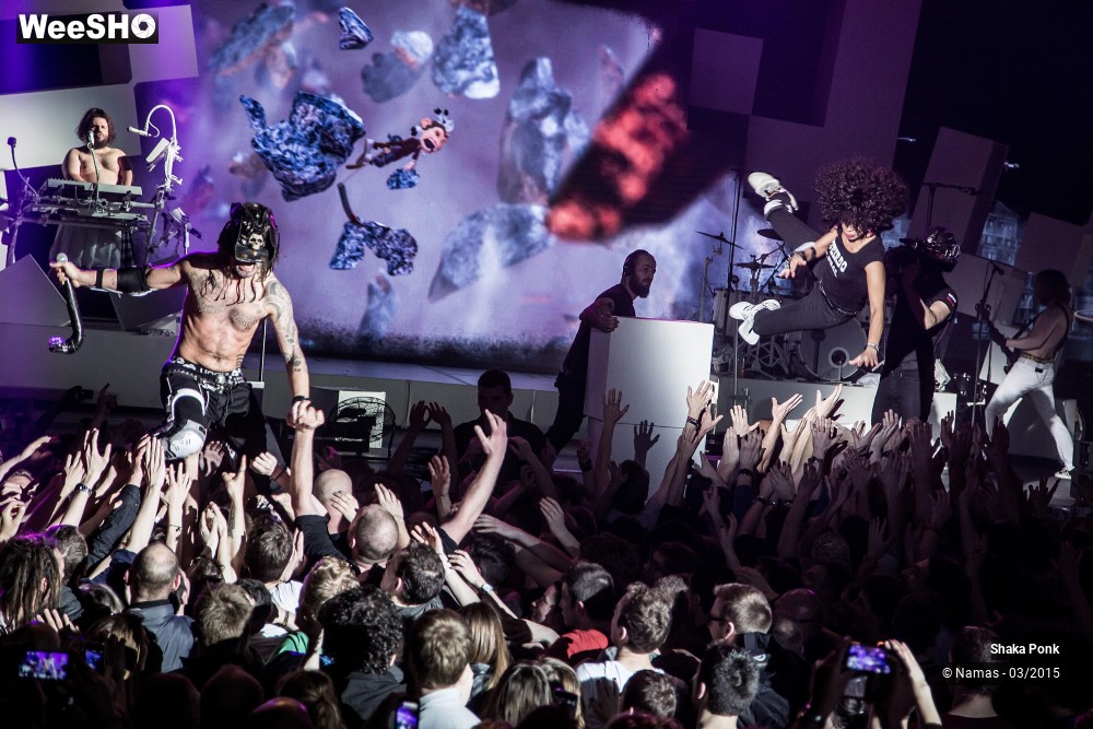 36/46 photos du spectacle Shaka Ponk