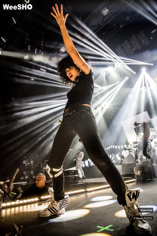 37/46 photos du spectacle Shaka Ponk