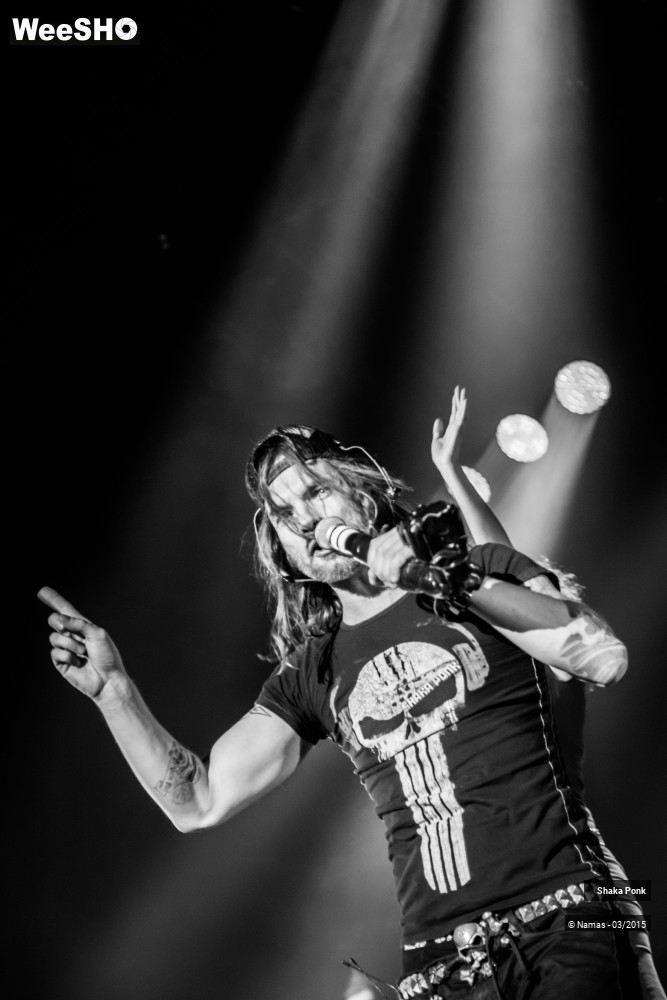 38/46 photos du spectacle Shaka Ponk