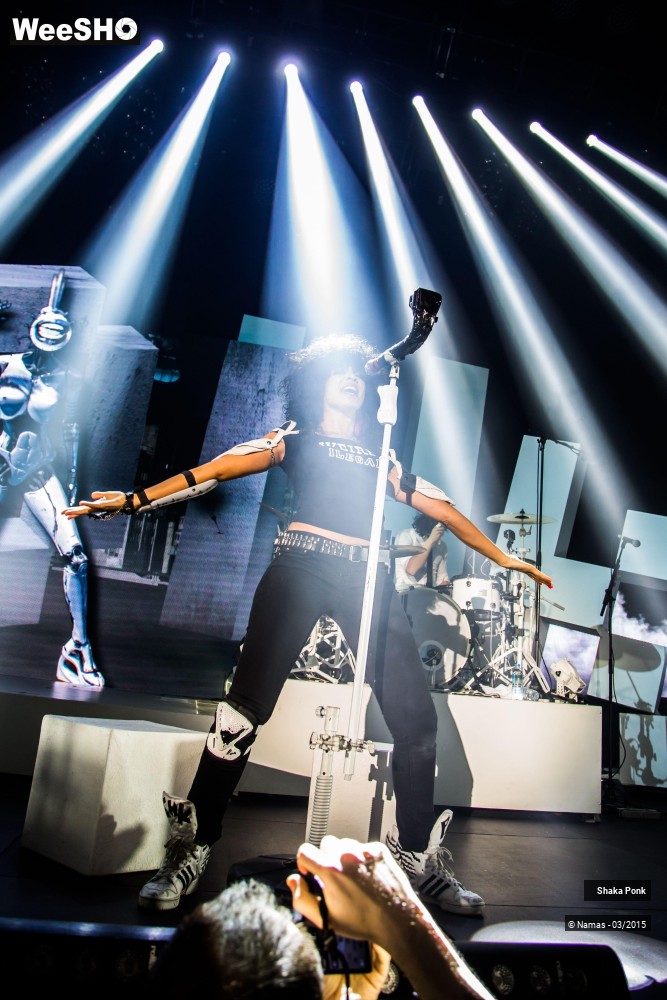 41/46 photos du spectacle Shaka Ponk