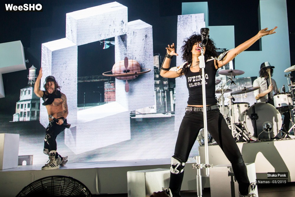 43/46 photos du spectacle Shaka Ponk