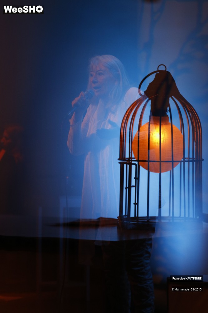 10/35 photos du spectacle Francoise Hautfenne