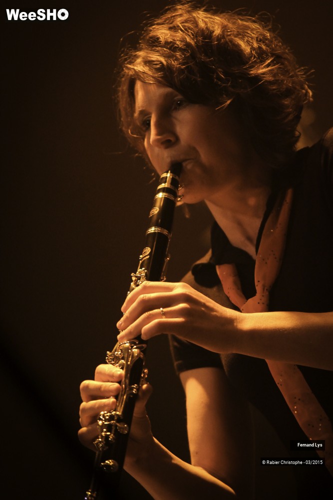 14/33 photos du spectacle Fernand Lys