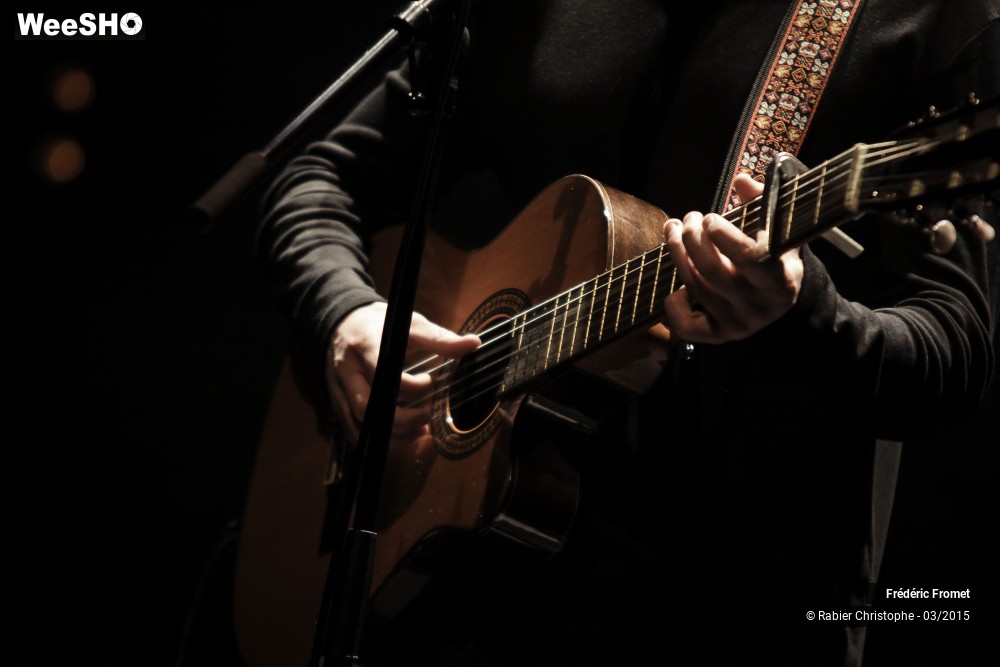 2/41 photos du spectacle Frederic Fromet