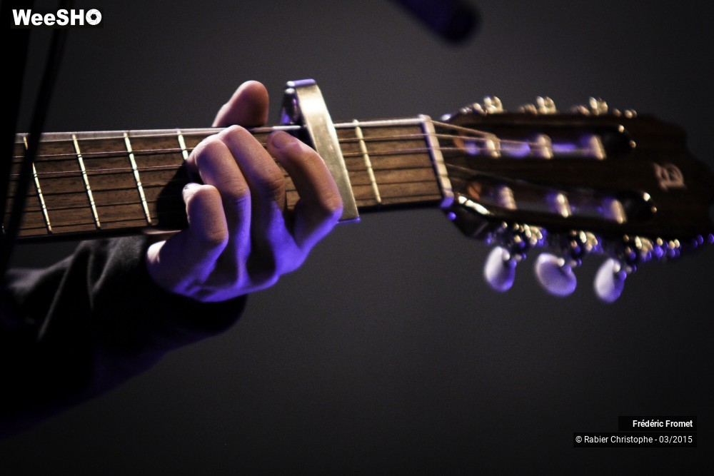 6/41 photos du spectacle Frederic Fromet