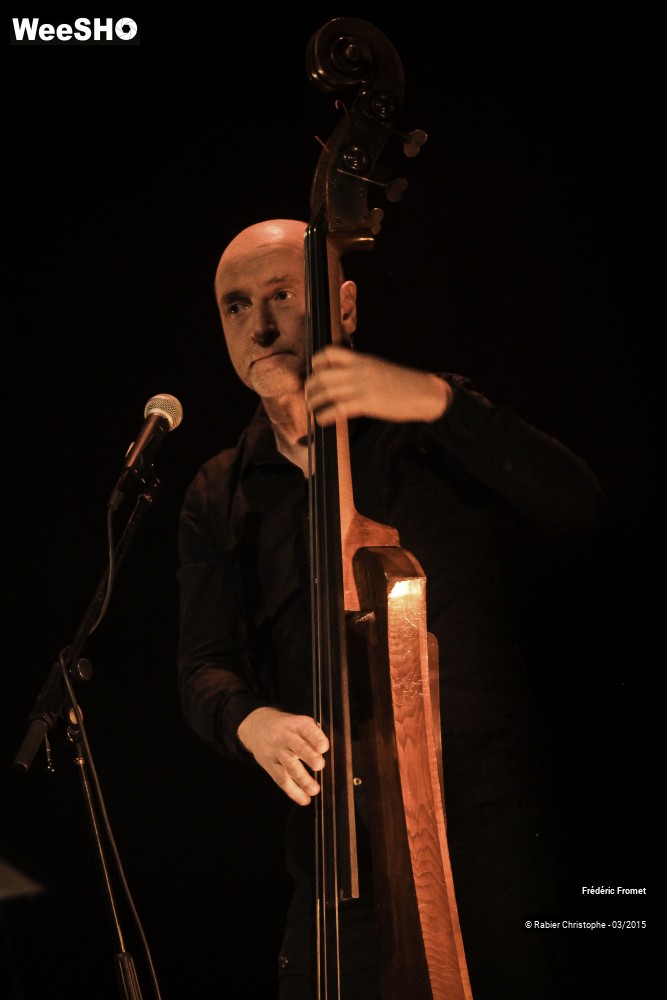 13/41 photos du spectacle Frederic Fromet
