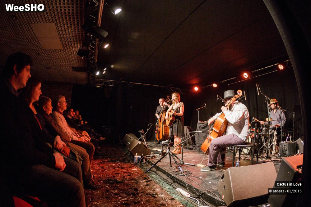1/18 photos du spectacle Cactus in Love