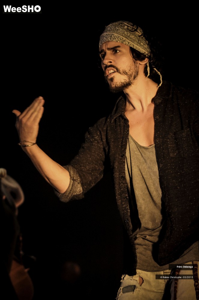 32/48 photos du spectacle Fréro Delavega