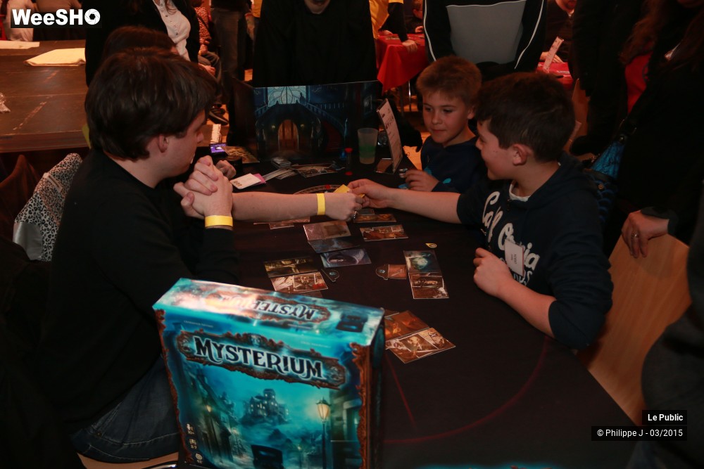 18/40 photos du spectacle Ludinord 2015