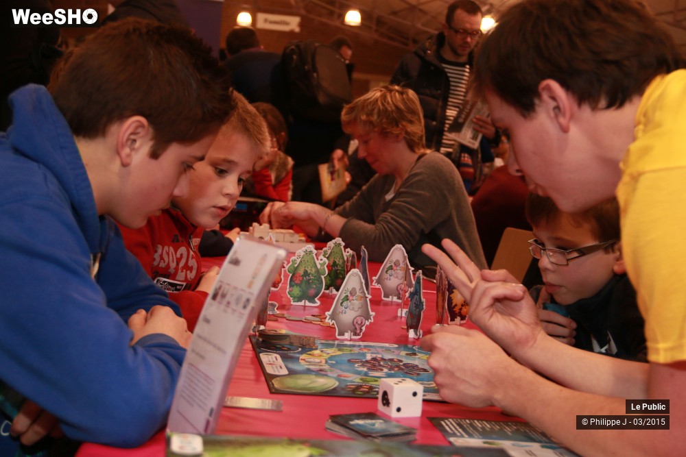 19/40 photos du spectacle Ludinord 2015