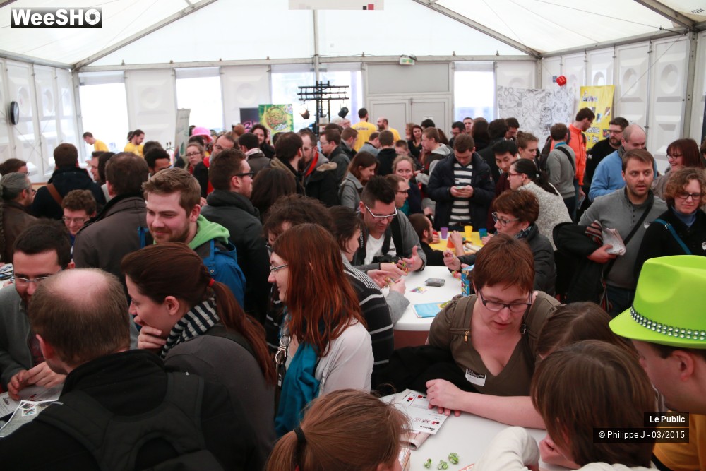 22/40 photos du spectacle Ludinord 2015