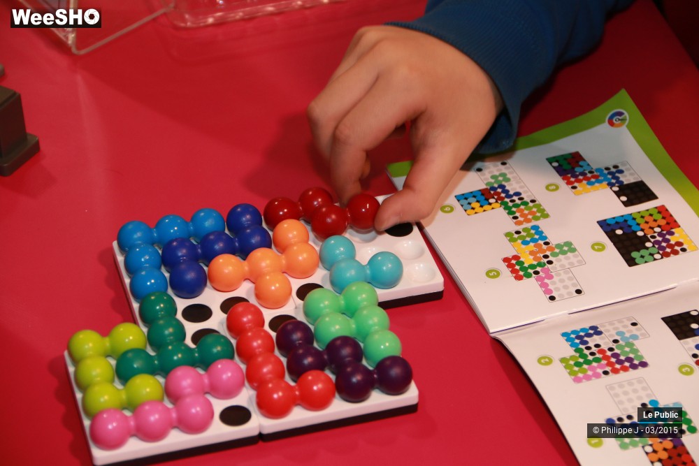 28/40 photos du spectacle Ludinord 2015