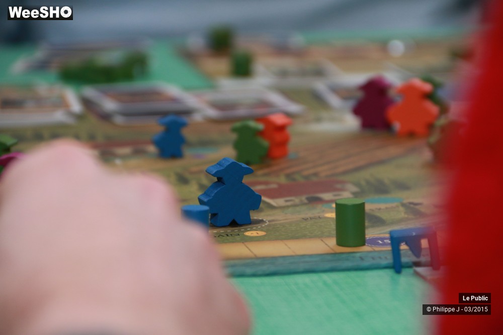 31/40 photos du spectacle Ludinord 2015