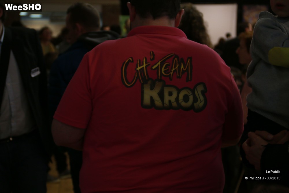 32/40 photos du spectacle Ludinord 2015