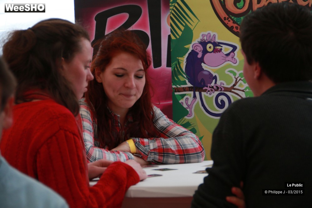 34/40 photos du spectacle Ludinord 2015