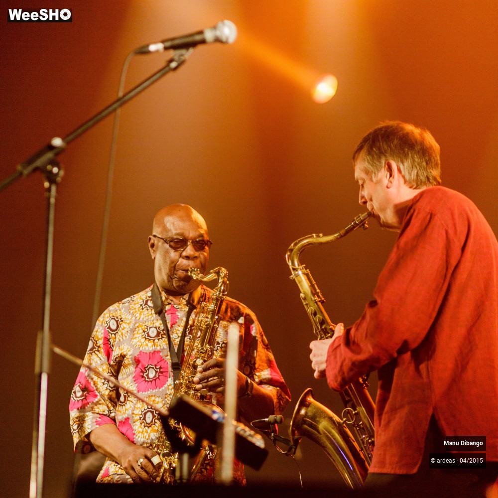 1/27 photos du spectacle Manu Dibango