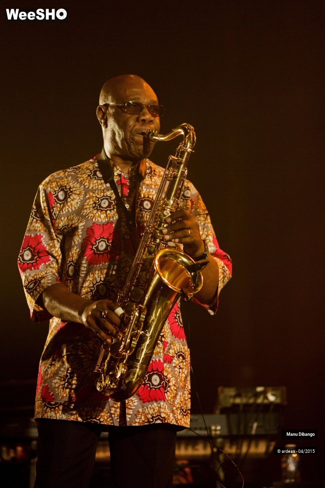 11/27 photos du spectacle Manu Dibango