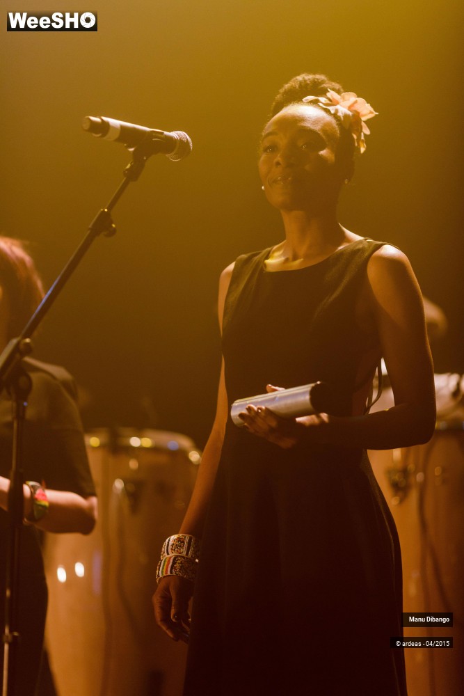 12/27 photos du spectacle Manu Dibango