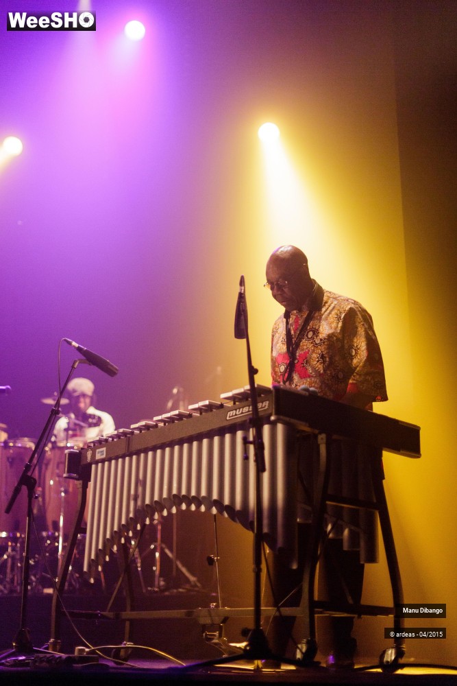 15/27 photos du spectacle Manu Dibango