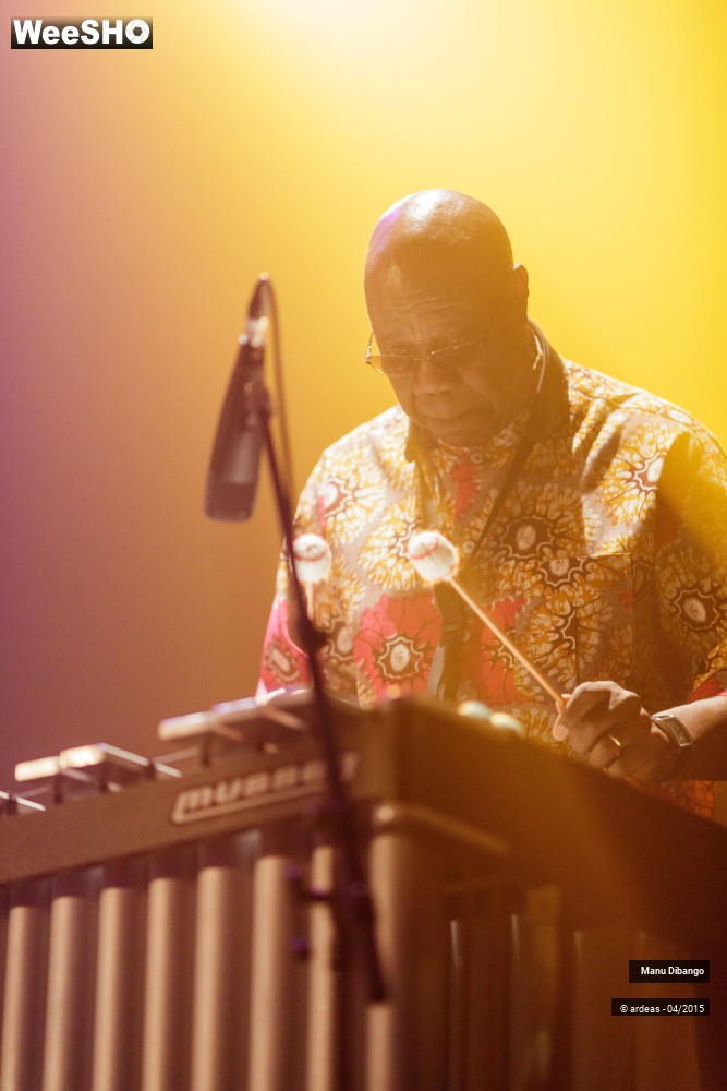 23/27 photos du spectacle Manu Dibango