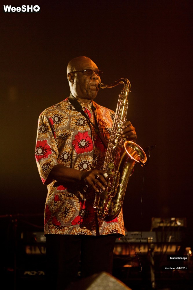 27/27 photos du spectacle Manu Dibango