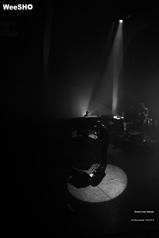 8/44 photos du spectacle Grand Corps Malade