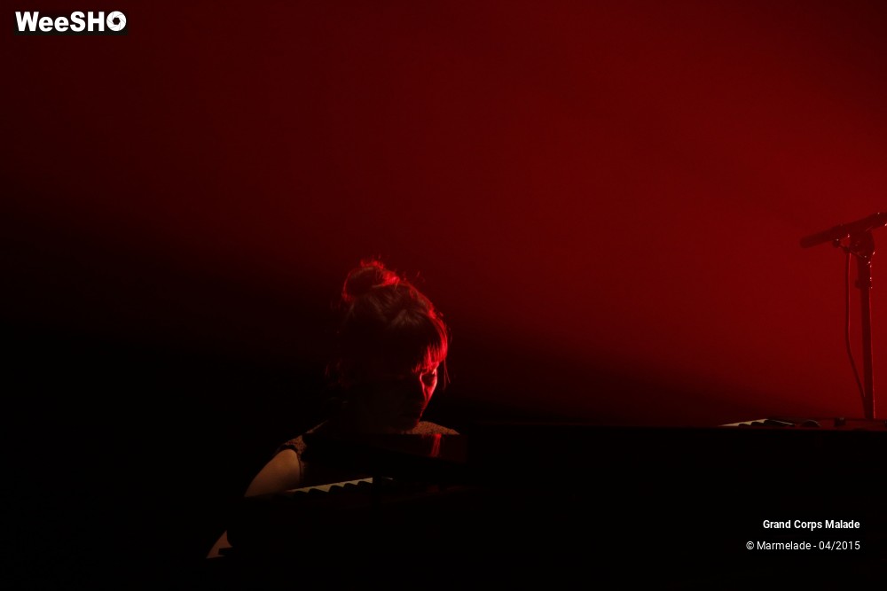 30/44 photos du spectacle Grand Corps Malade