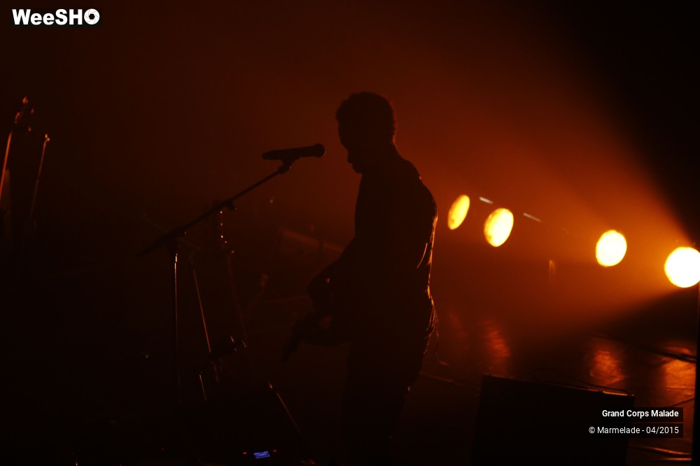 39/44 photos du spectacle Grand Corps Malade