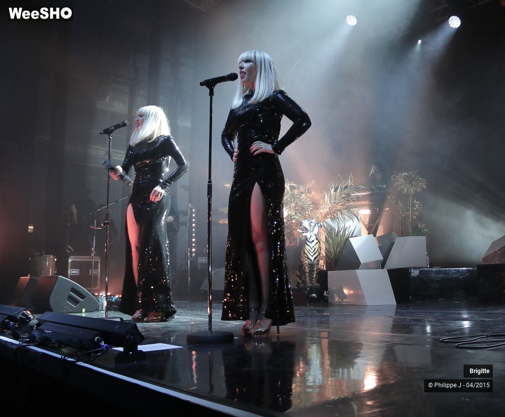 13/20 photos du spectacle Brigitte