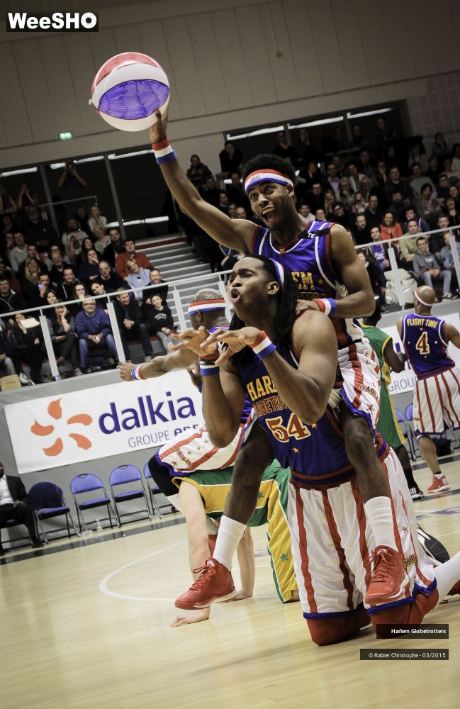 49/58 photos du spectacle Les Harlem Globetrotters