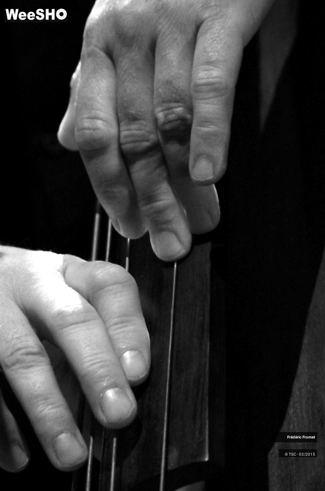 1/25 photos du spectacle Frédéric Fromet